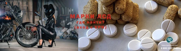ГАЛЛЮЦИНОГЕННЫЕ ГРИБЫ Вязьма