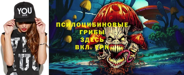 шишки Волосово