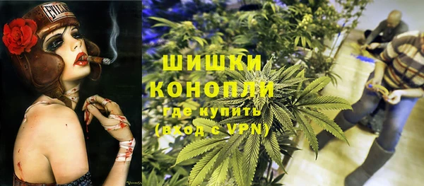 стаф Вяземский