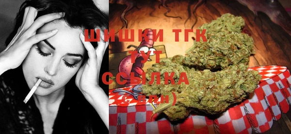 ГАЛЛЮЦИНОГЕННЫЕ ГРИБЫ Вязьма