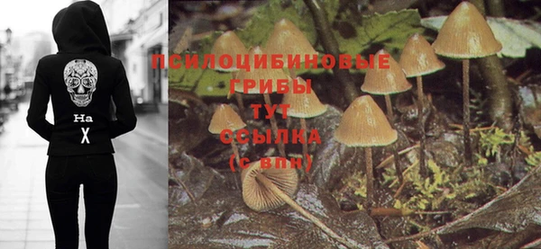 молекула духа Вязники