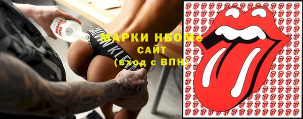 стаф Вяземский