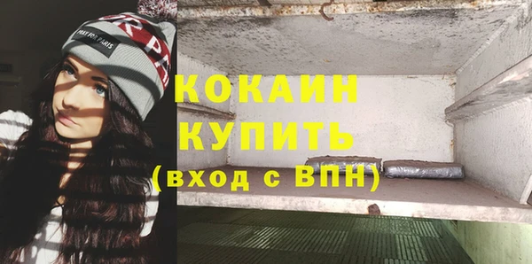 стаф Вяземский