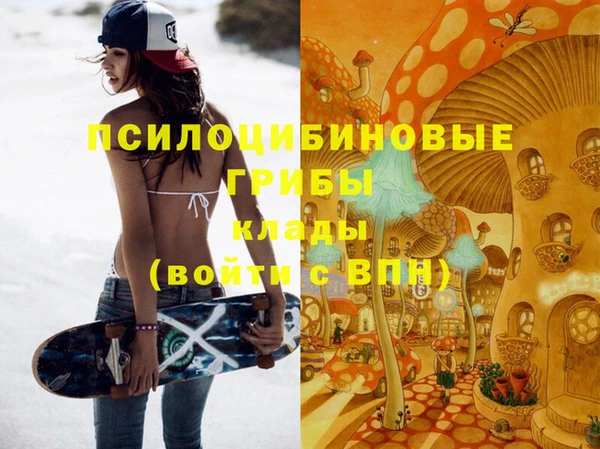 стаф Вяземский