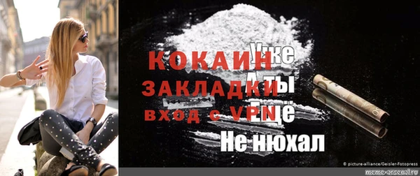 ГАЛЛЮЦИНОГЕННЫЕ ГРИБЫ Вязьма