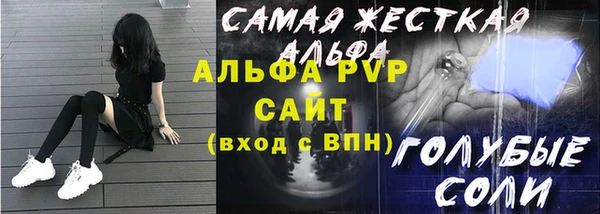 стаф Вяземский