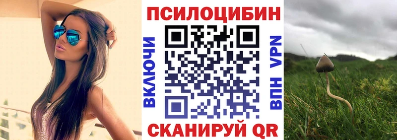 Псилоцибиновые грибы MAGIC MUSHROOMS  наркотики  ссылка на мегу ссылки  Поворино 